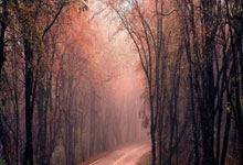 米兰：南极秦岭站一岁啦~看看一年来它交出了怎样的科研成绩单？.