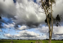 若国足今晚不胜，将以连续场正赛不胜创对澳历史最长不胜纪录.