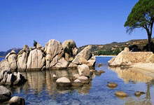 世锦赛女子铁饼冯彬摘铜：笑意赛场，笑看风云.